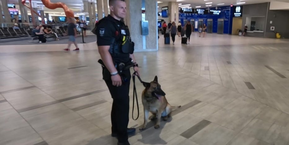 TPA welcomes new canine to its K-9 bomb squad ahead of ...