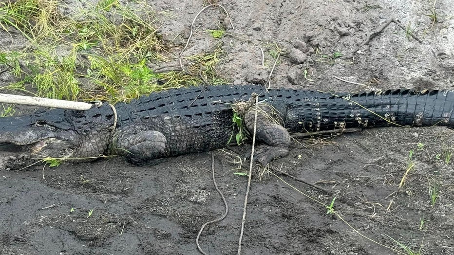 Courtesy: Martin County Sheriff's Office
