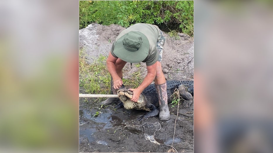 Courtesy: Martin County Sheriff's Office
