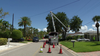 Power companies trimming trees in case major storm threatens Florida this hurricane season