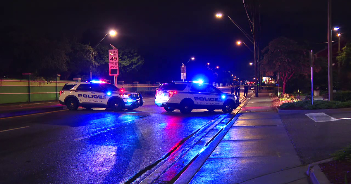Man hit, killed by pickup truck on Busch Blvd. in Tampa | FOX 13 Tampa Bay