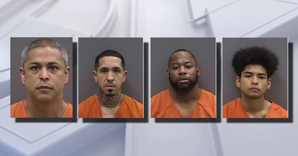 4 charged in fentanyl overdose death of USF student | FOX 13 Tampa Bay