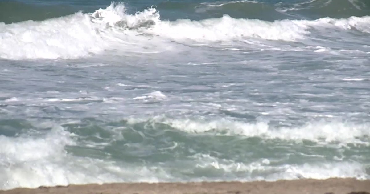 3 Alabama men die after becoming distressed while swimming at Florida ...