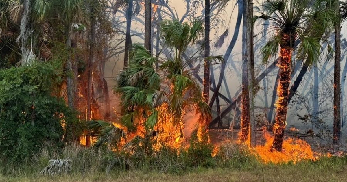Large brush fire causes evacuations in North Port: Officials | FOX 13 ...