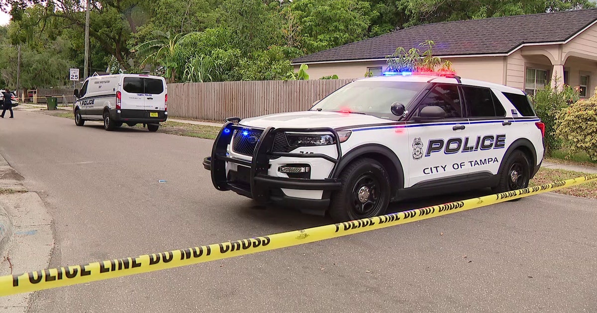 Man found dead in Tampa, homicide investigation underway: TPD | FOX 13 ...