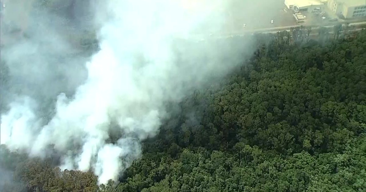 Brush fires burn nearly 1,000 acres in Polk County as dry weather ...