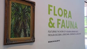 Explore Florida's natural beauty at Creative Pinellas' Flora & Fauna exhibit