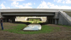 New wildlife crossing in Polk County allowing animals to pass under I-4