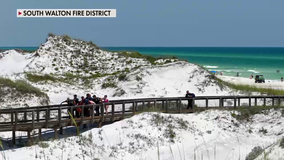 'A bit unusual:' Shark expert weighs in on the Panhandle's 3 attacks on the same day