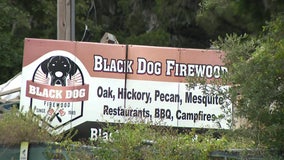 Fire at Black Dog Firewood in Tampa under control, HCFR says