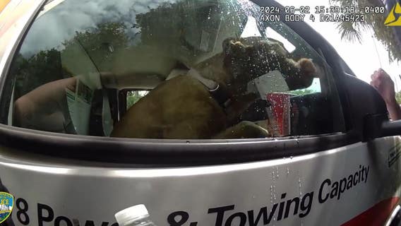 Dog left in hot U-Haul truck for an hour while owners went to Florida beach, police say: 'So thirsty'