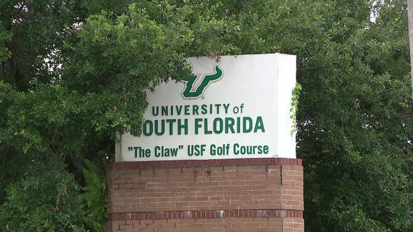 USF planning to transform The Claw into 'vibrant mixed-use district'
