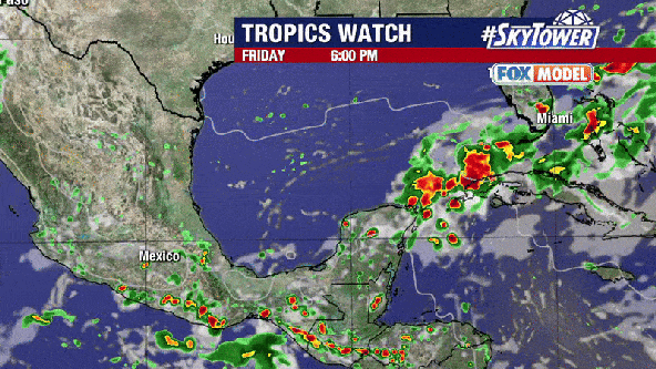 Storm system in Gulf of Mexico could become a tropical depression in coming days