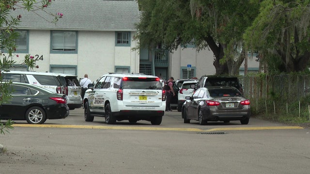 3 suspects armed with guns stole car from Tampa gas station, police say