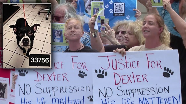 100 animal advocates rally ahead of hearing for Pinellas man accused of killing dog he adopted days prior