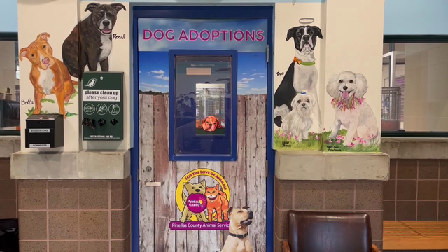 Pet adoption fees waived in Pinellas County as shelter undergoes renovations