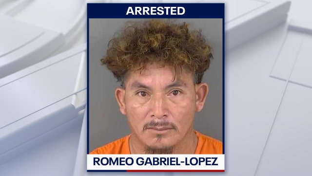 Florida man accused of keeping dog tethered to pole during heavy rainfall