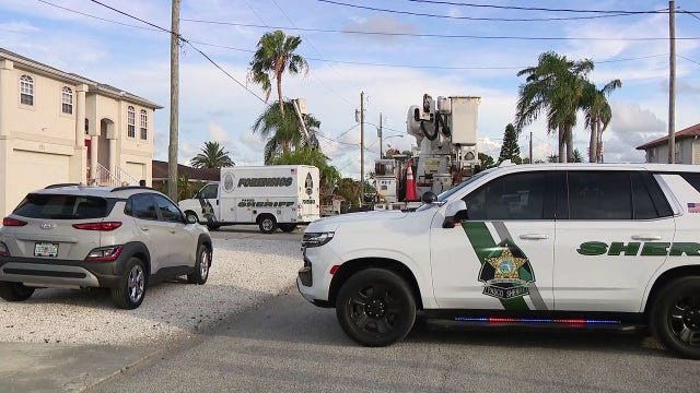 Tree trimmer electrocuted while cutting branches near power line in Hudson: Deputies