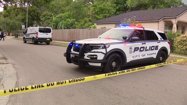 Man found dead in Tampa, homicide investigation underway: TPD