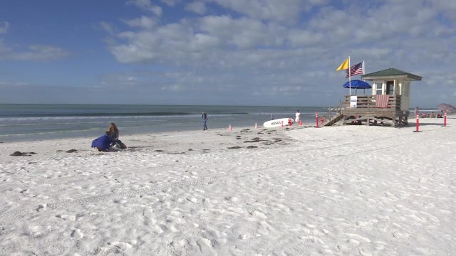 Beaches in the Bay Area named among top 10 in Florida