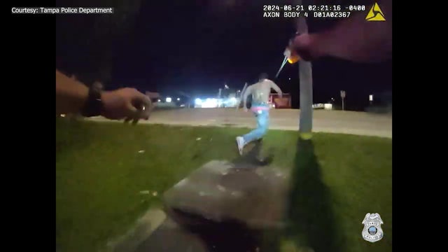 Video: Suspect killed by hit-and-run driver as Tampa police chase him with a taser