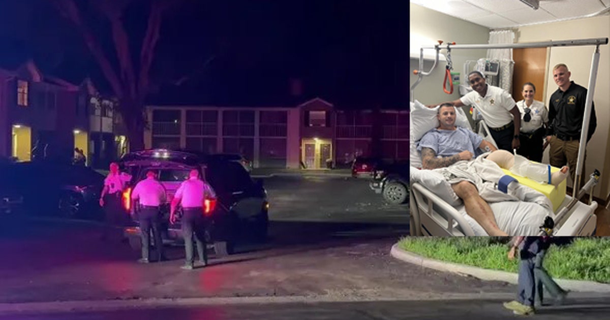Bodycam video: Hillsborough County deputy seriously injured after ...