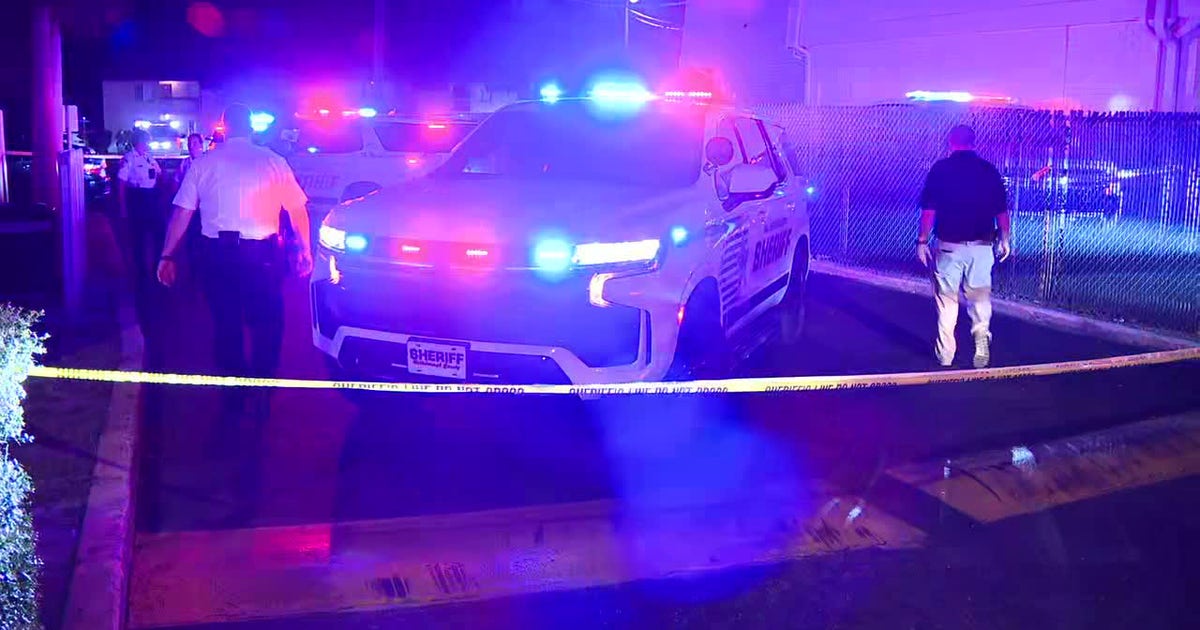 Toddler hit, killed by SUV near Tampa: Deputies | FOX 13 Tampa Bay