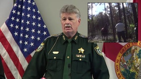 Horse meat trade: Hernando County sheriff, state attorney respond to criticism from activists