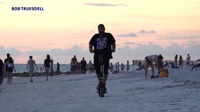 Video shows man hitting protected shorebird on Bay Area beach, police investigating