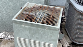 Renters in St. Pete facing miserable conditions without air conditioning, not required in state