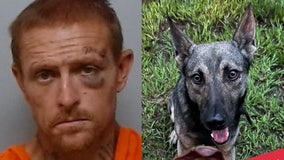 Grady Judd: ‘Violent offender’ hiding from deputies falls through ceiling, gets bit by K-9