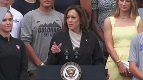 Vice President Harris takes control of Democratic Party in presidential run