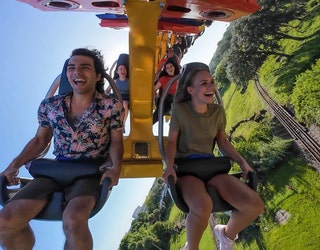 Busch Gardens debuts new Phoenix Rising roller coaster | FOX 13