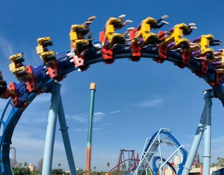Busch Gardens debuts new Phoenix Rising roller coaster | FOX 13