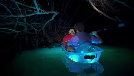 Explore Tampa Bay waterways at night during unique kayaking experience