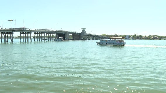 Sarasota Bay boaters urged to keep their distance from new dolphin calves
