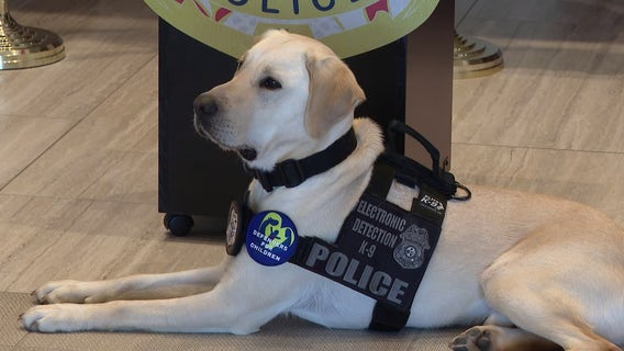 Newest Pinellas Park K9 trained to track down hidden electronics used in crimes