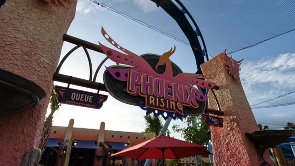 New 'Phoenix Rising' coaster opens to guests at Busch Gardens Tampa