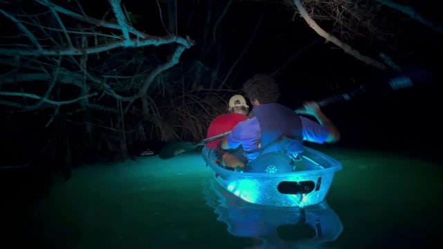 Explore Tampa Bay waterways at night during unique kayaking experience