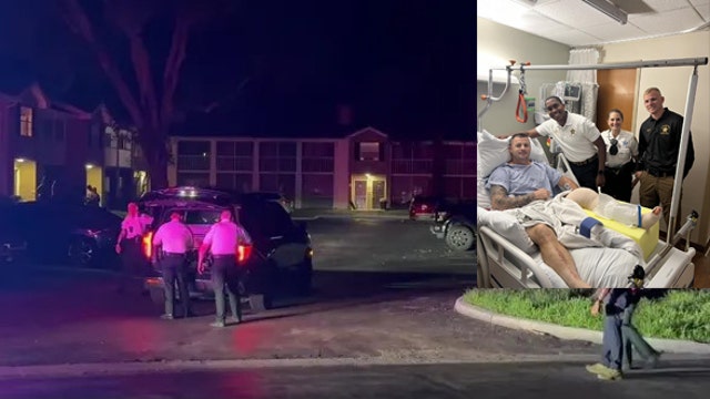 Bodycam video: Hillsborough County deputy seriously injured after getting run over by suspect