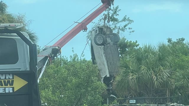 Driver rescued from water by good Samaritan after car flew into mangroves, St. Pete firefighters say