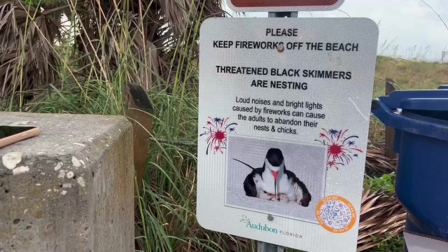 New signage warns Pinellas County beachgoers about firework dangers to shorebirds