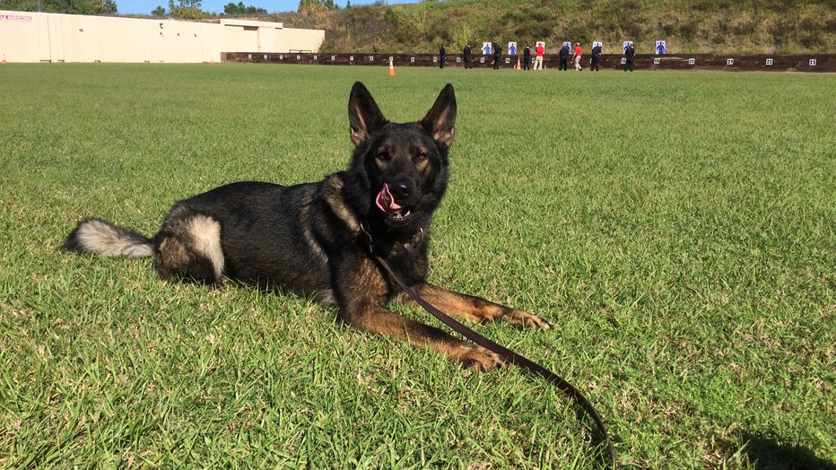 Courtesy: Sarasota Police Department