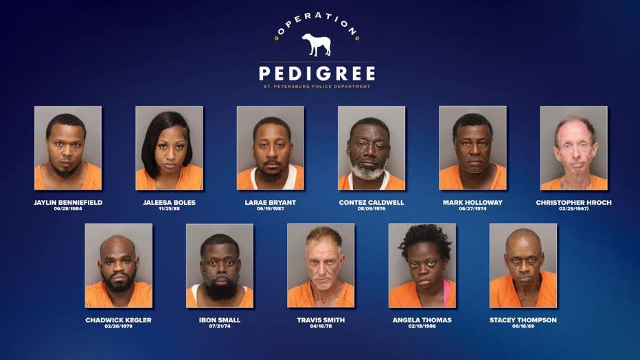 Mugshots from Operation Pedigree. Image is courtesy of the St. Petersburg Police Department.