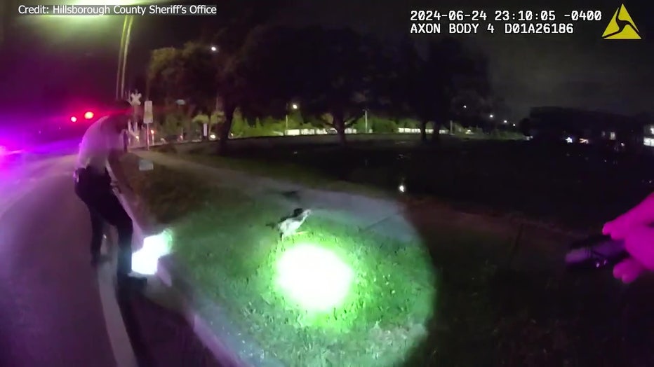 Courtesy: Hillsborough County Sheriff's Office