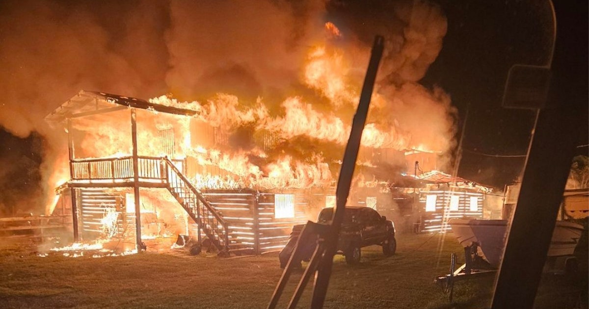 2 dogs killed after fire engulfs Plant City home: HCFR | FOX 13 Tampa Bay