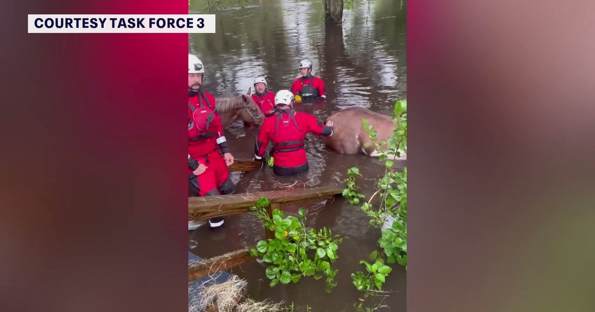 Team of Bay Area first responders helping crews in Manatee, Sarasota ...