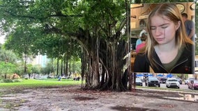 Teen dies after seeking shelter under banyan tree that was struck by lightning in downtown St. Pete