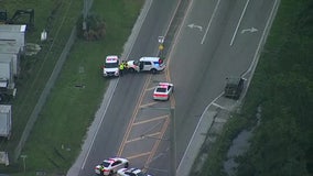 Pedestrian hit, killed by box truck in Lakeland