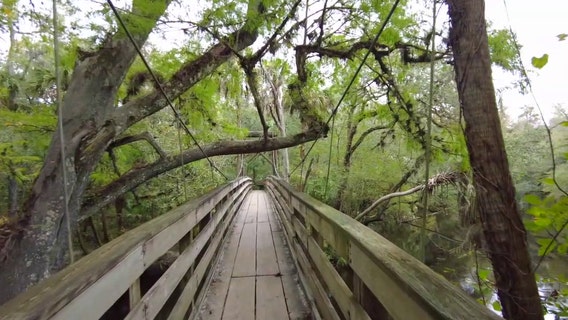 Florida lawmaker files bill to protect state parks from development months after protests